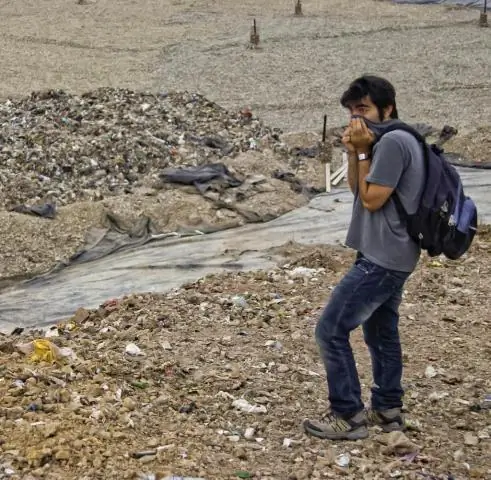 Загрязнение: из космоса обнаружены новые источники выбросов аммиака