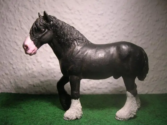 Промышленное рыболовство голодает среди морских птиц по всему миру