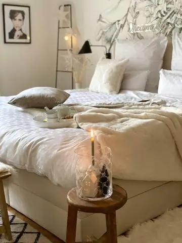 Анализ генома попугая дает представление о долголетии и когнитивных способностях: геном синелобого амазонского попугая в сравнении с 30 другими долгоживущими птицами