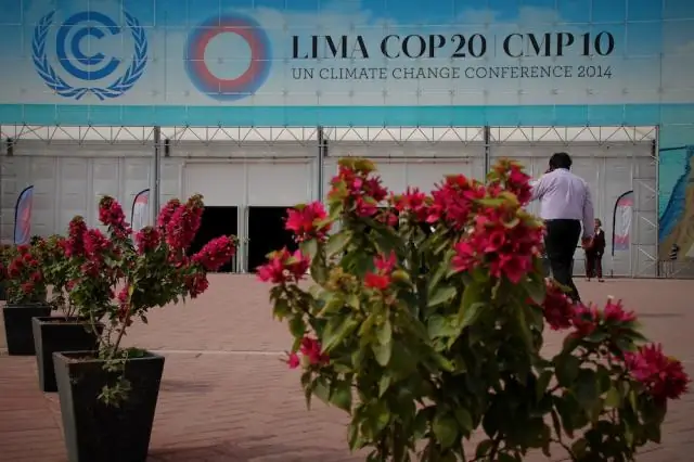 Смягчение последствий изменения климата для морских черепах