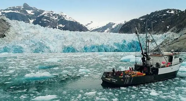 ДДТ в талой воде Аляски представляет риск развития рака у людей, которые едят много рыбы