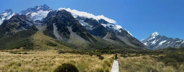 Крошечный австралийский валлаби - последняя живая связь с вымершими гигантскими кенгуру