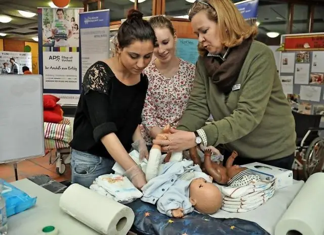 Люди могут перевести климатические часы вспять на 50 миллионов лет