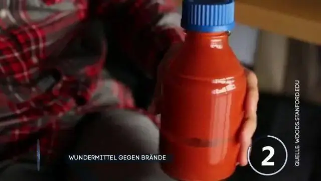 Как ветры изменения климата повлияют на перелетных птиц? Новое исследование показывает, что возможны как положительные, так и отрицательные последствия