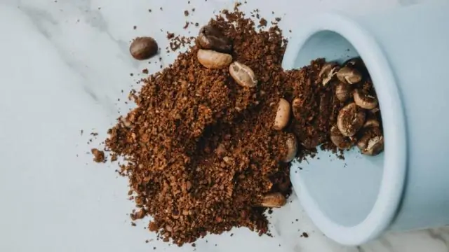 Открытие человеческих антител может спасти жизни от грибкового убийцы