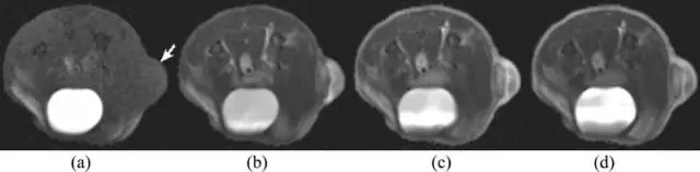 Гипоксические мертвые зоны обнаружены в городских ручьях, а не только на побережье: эрозия меняет форму русел городских ручьев, превращая их в серию бассейнов, подверженных гипоксии