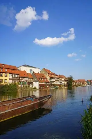 Учебники для колледжей в основном упускают из виду наиболее распространенных животных