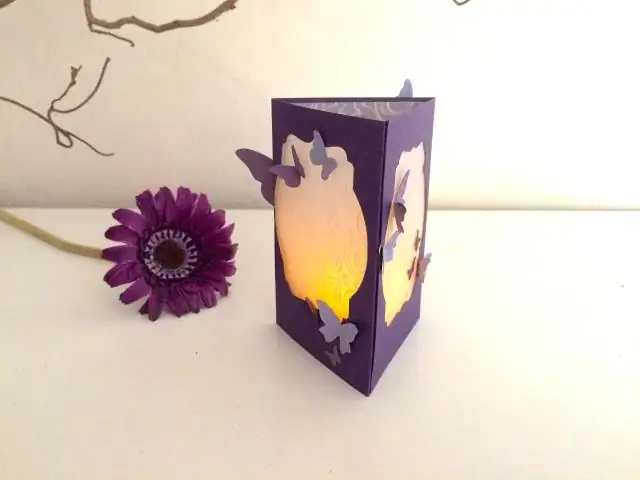 Бабочки: Провалились в сеть?