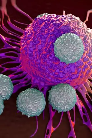 Профессор моделирует систему, использующую капсулы с пищевой содой для улавливания выбросов CO2