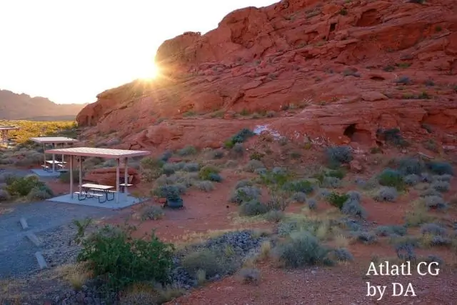 Первый набор датчиков, который может летать на пчелах