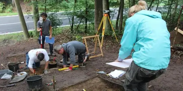 Исследователи проливают новый свет на комаров, распространяющих болезни