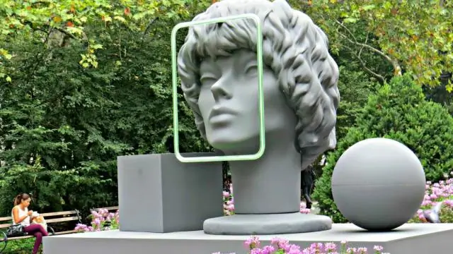 Мониторинг окружающей среды с помощью искусственного интеллекта