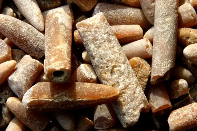 Бактерии сточных вод, скрывающиеся в отложениях реки Гудзон, показывают исследования: уровни могут значительно превышать уровни в воде, с потенциальными рисками для здоровья