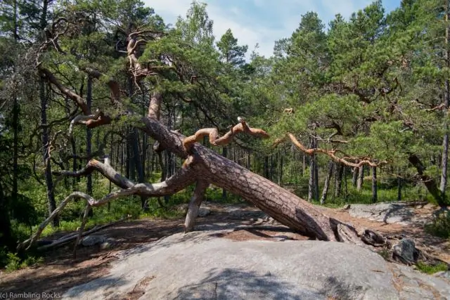 Старые шахты отбрасывают длинную тень на окрестности
