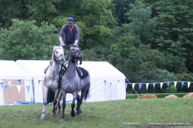 Огнедышащий дракон помогает бороться с огненными атаками на здания с соломенными крышами