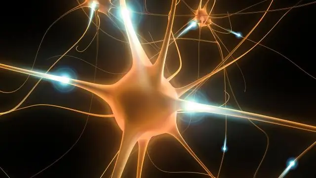 Сигнал, обнаруженный с помощью машинного обучения, предсказывает время до землетрясения: «отпечаток пальца» смещения разлома также предсказывает величину разрыва