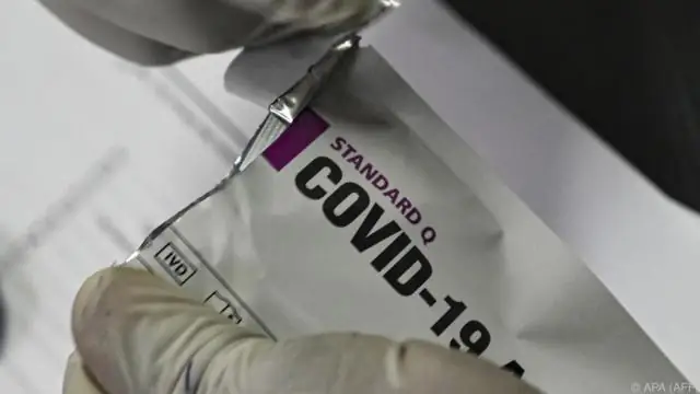 Эксперты определили «переломный момент» во вспышках болезней деревьев