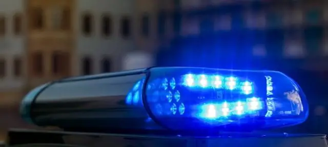 Расшифровка детоубийства: исследования указывают на химические и сенсорные сигналы, которые вызывают у самцов мышей агрессивное поведение, направленное на младенцев