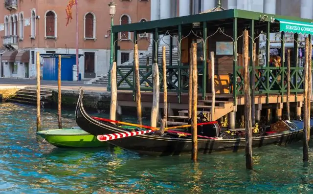 Раскрытие ключевого механизма сборки вируса птичьей саркомы, родственника ВИЧ-1