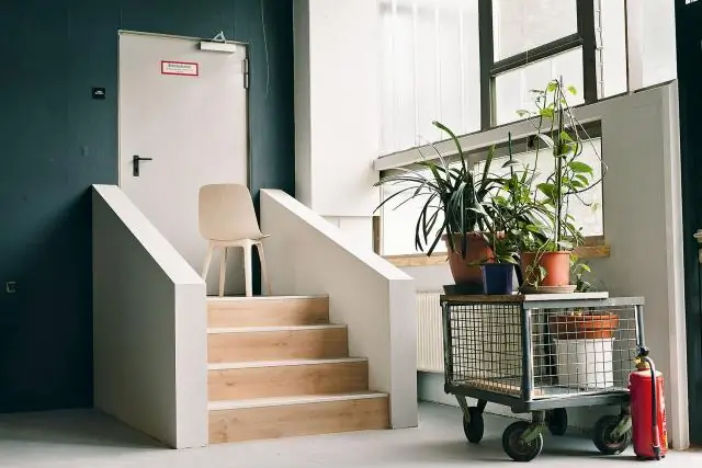 Порошок может помочь сократить выбросы CO2