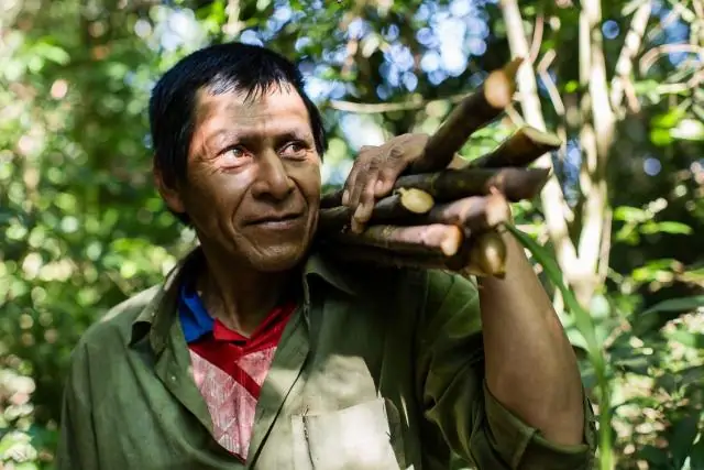 Лесам, как и людям, требуется сбалансированное питание