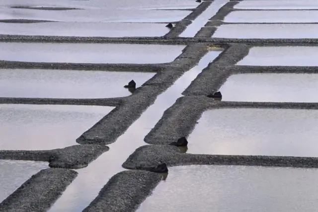 Почему уровень моря в некоторых местах на восточном побережье США повышается быстрее, чем в других?