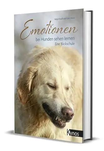 Лучшее понимание языка тела собаки может сделать общение более безопасным