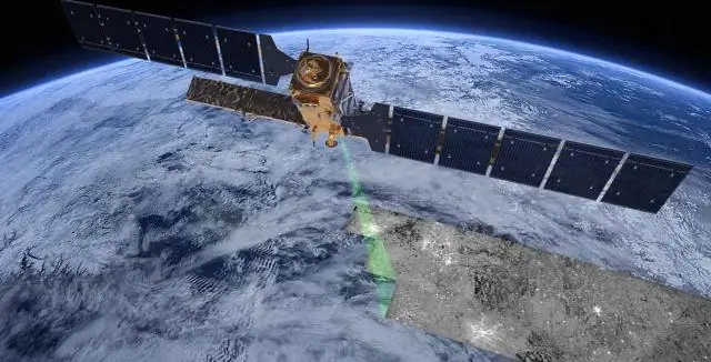 Дикая природа изо всех сил пытается справиться с экстремальной погодой