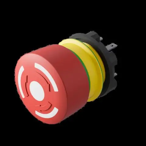 Электрические рыбы в дополненной реальности показывают, как животные «активно ощущают» окружающий мир