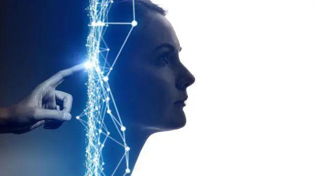 «Пришло время» использовать большие данные для решения вопросов о растениях размером с планету