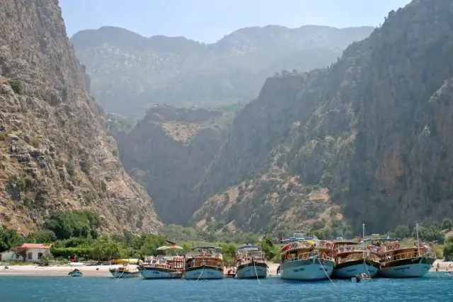 Seagrass экономит пляжи и деньги