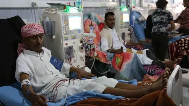 Тайна эпидемии холеры в Йемене разгадана: ученые обнаружили наиболее вероятный источник эпидемии холеры в Йемене