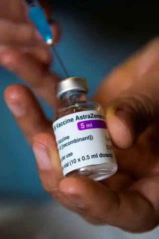 Почему в этой колонии растет число одиноких самцов Магеллановых пингвинов