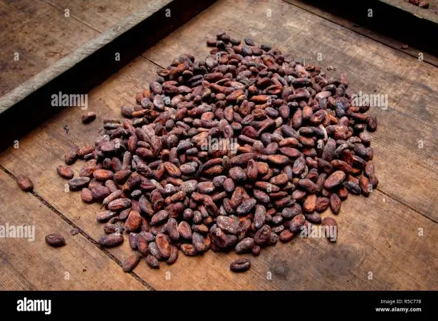 Необычайная древесная лягушка обнаружена в Андах Эквадора