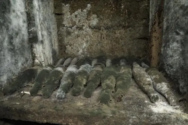 Неопределенности климатических моделей созрели для устранения