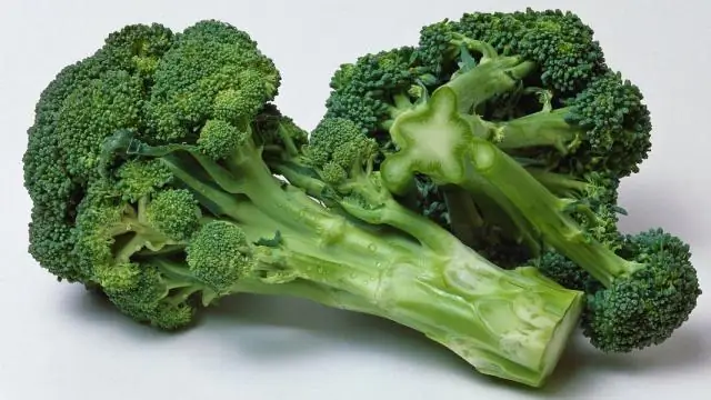 Ученые разработали новую мышиную модель болезни Гиршпрунга