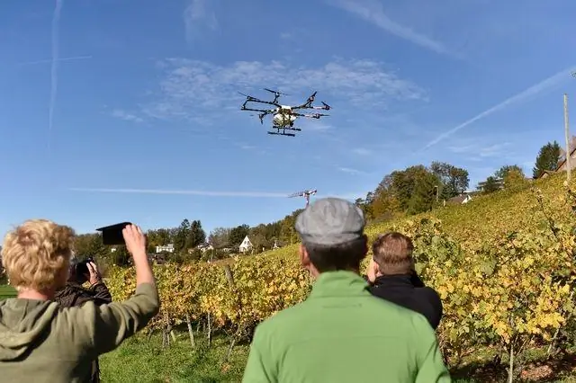 Новая технология на основе CRISPR, разработанная для борьбы с вредителями с помощью точной генетики