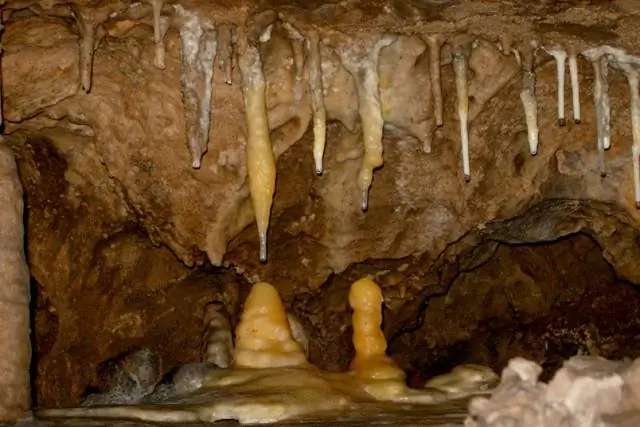 Геологи реконструируют «открывающие глаза» 900-летние климатические рекорды северо-востока США