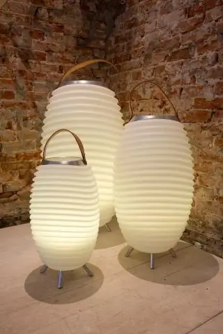 15-метровый древний кит Basilosaurus isis был самым крупным морским хищником