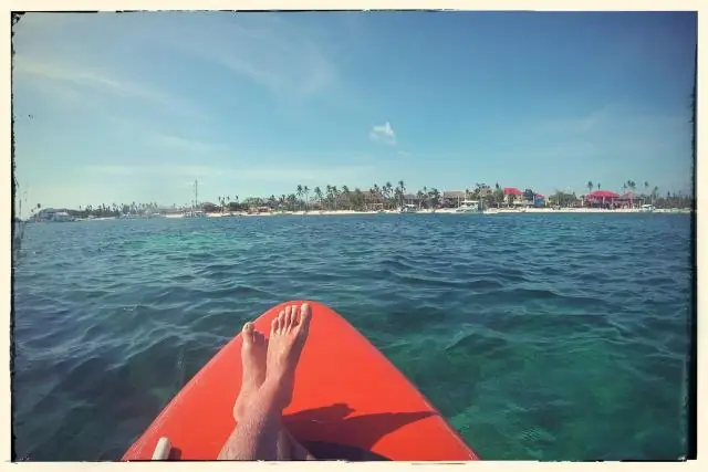 Мутная вода держит рыбу в напряжении