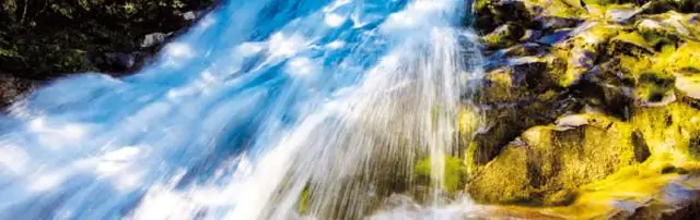 ДНК позволяет проследить вашу древнюю родословную