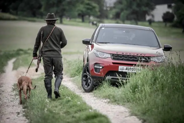 Discovery ставит под сомнение модели организации клеточной поверхности