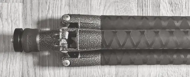 Города могут сыграть ключевую роль в сохранении опылителей