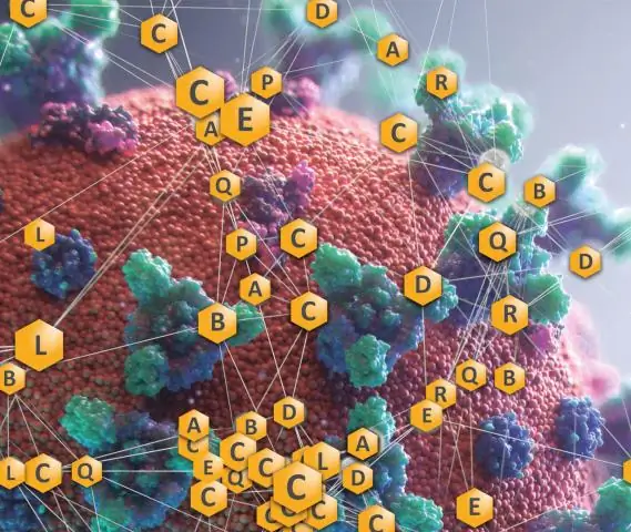 Исследования раскрывают стратегии борьбы с дезинформацией в науке: Решения по борьбе с дезинформацией включают публичную прививку, финансовую прозрачность