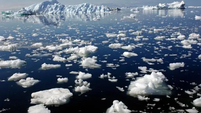 Антарктида ежегодно теряет в шесть раз больше массы льда, чем 40 лет назад: таяние, вызванное изменением климата, поднимет глобальный уровень моря на десятилетия вперед