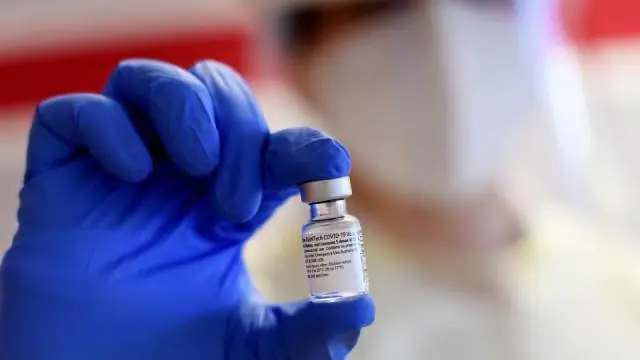 Потребности медведя: новое исследование подчеркивает важность водных ресурсов для андских медведей