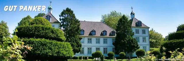 3000-летняя лебеда из восточной части Северной Америки обнаружена в Онтарио