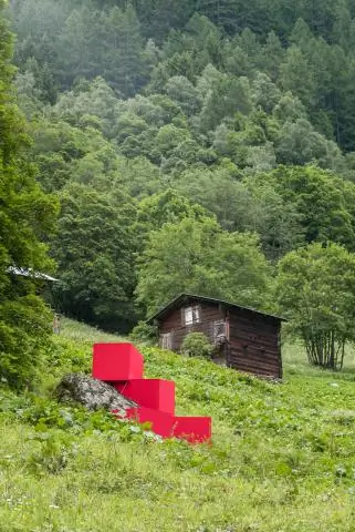 MANF идентифицирован как омолаживающий фактор при парабиозе