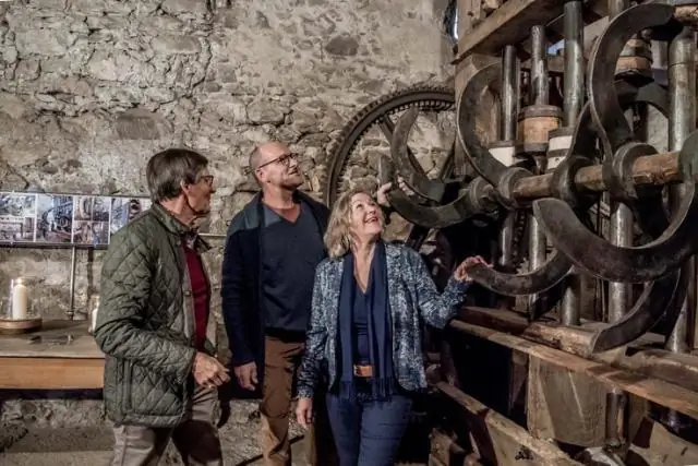 11 500-летние кости животных в Иордании позволяют предположить, что ранние собаки помогали людям охотиться