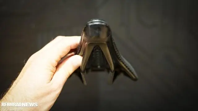 Удвоение генома, размер клеток и новизна: исследование механизмов полиплоидии у растений